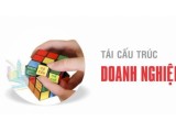 Vì sao phải tái cấu trúc doanh nghiệp?