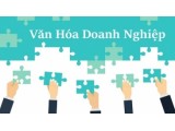 Điều quan trọng với người tìm việc: Hiểu văn hóa doanh nghiệp