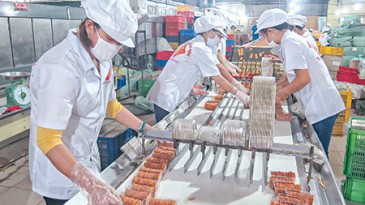 Cung ứng lao động Đóng gói Bao bì sản phẩm
